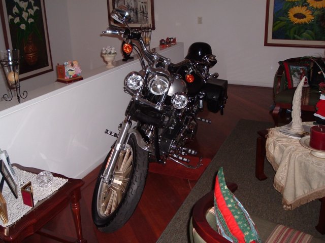 Harley Davidson 033